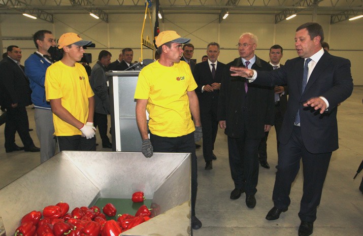 Щорічно "DF Agro" (Синьків) вироблятиме 1,55 тис. тонн перцю. Цей обсяг дозволить скоротити його імпорт в Україну на 20%
